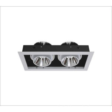 COB 30W*2 LED Downlight for Store Lighting & Gallery Lighting